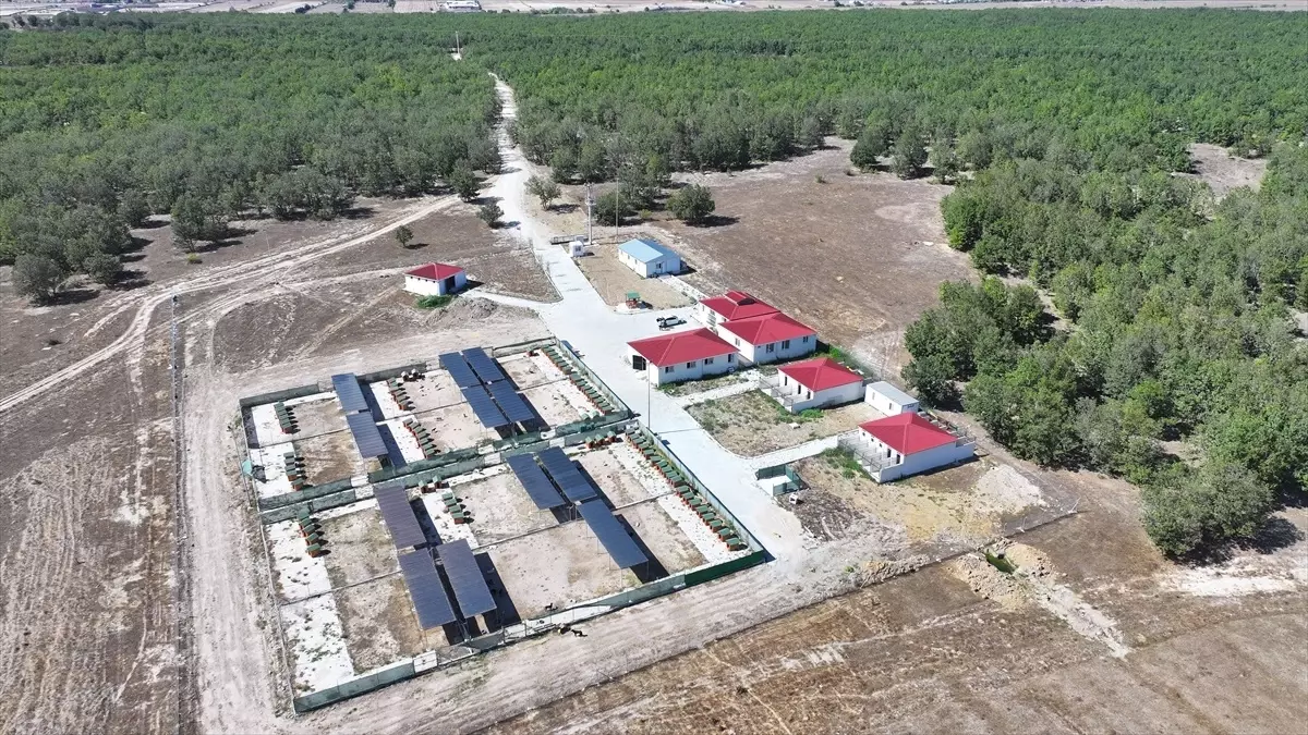 kapakliya dogal yasam alani ruhsati nsamKQKu