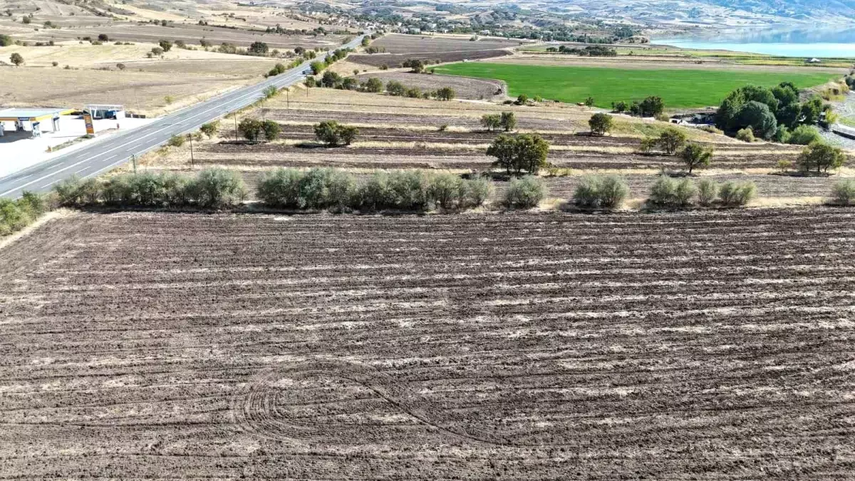 hava arslandan tuncelide seracilik hamlesi CnTNC1zn.jpg