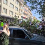 karacabeyde-korku-dolu-anlar-devrilen-agac-araclarin-ve-motosikletin-uzerine-devrildi-ZEFuqabr